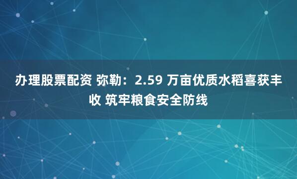 办理股票配资 弥勒：2.59 万亩优质水稻喜获丰收 筑牢粮食安全防线